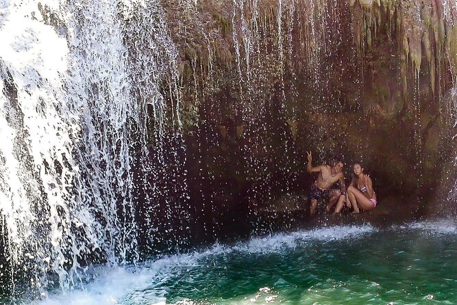 2025 Tarsier, Waterfalls & Chocolate Hills Tour - Is $65 a fair price?