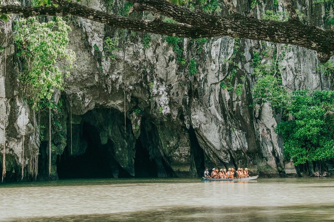 3-in-1 Adventure: Underground River, Zipline ride, and Mangrove Forest Tour - A slower hour in the mangrove forest