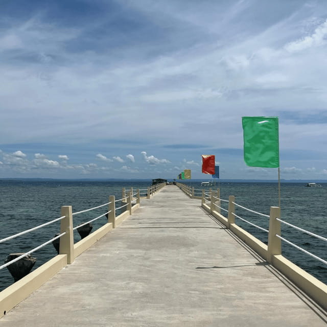 3 Islands Hopping at Gilutungan, Caohagan, Nalusuan + Lunch - Nalusuan: a second look at Cebu’s sea life