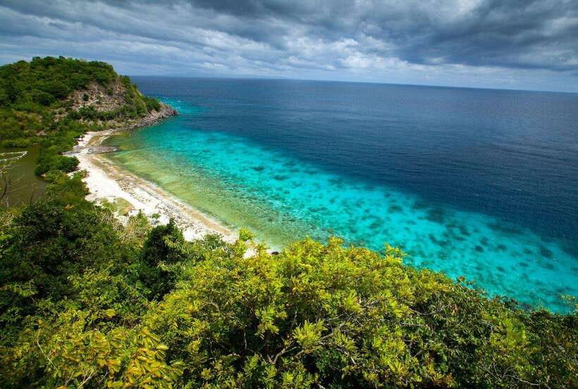 Apo Island Wonders: Snorkel with Sea Turtles in Dumaguete - Why Apo Island’s turtles are the main event