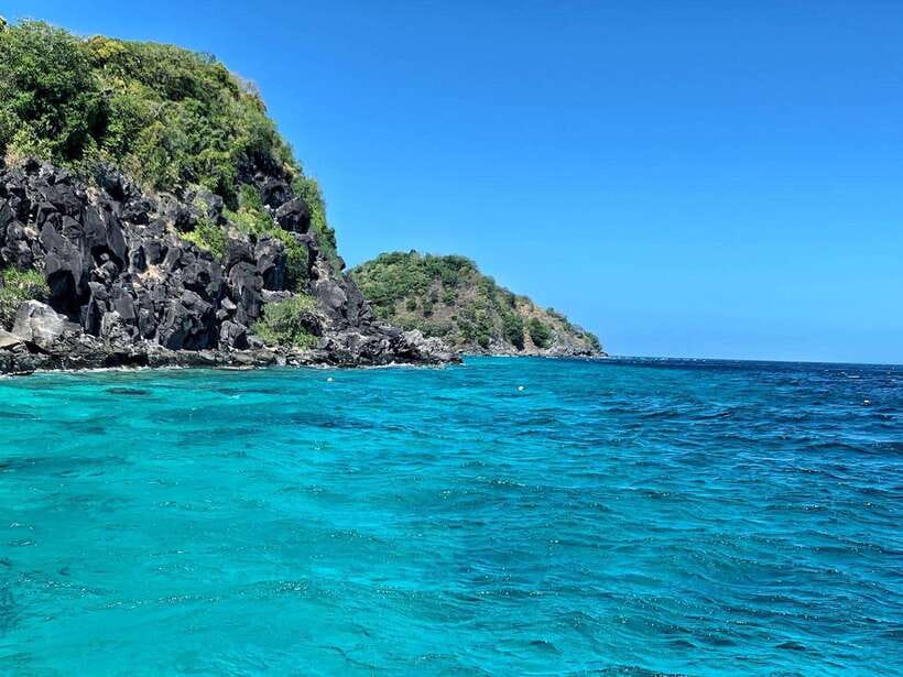 Apo Island Wonders: Snorkel with Sea Turtles in Dumaguete - Respecting the turtles and the reef