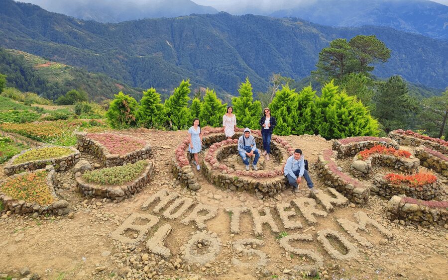 Baguio Atok Flower Blossoms (Private Tour) - Who will get the most from this tour