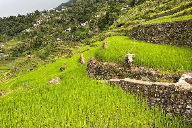 Batad Guided Tour - Batad is best seen through working rice terraces