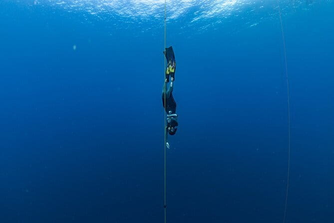 Beginner Freediving Course (with Bonus Session) - What the Panglao course actually teaches