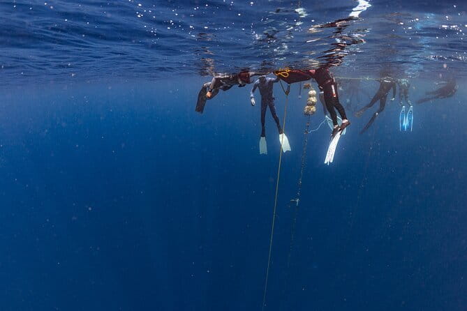 Beginner Freediving Course (with Bonus Session) - Who will get the most from this course