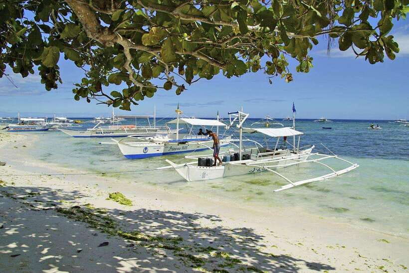 Bohol Balicasag Is Private Tour and Dolphin Watching - Key points to know before booking