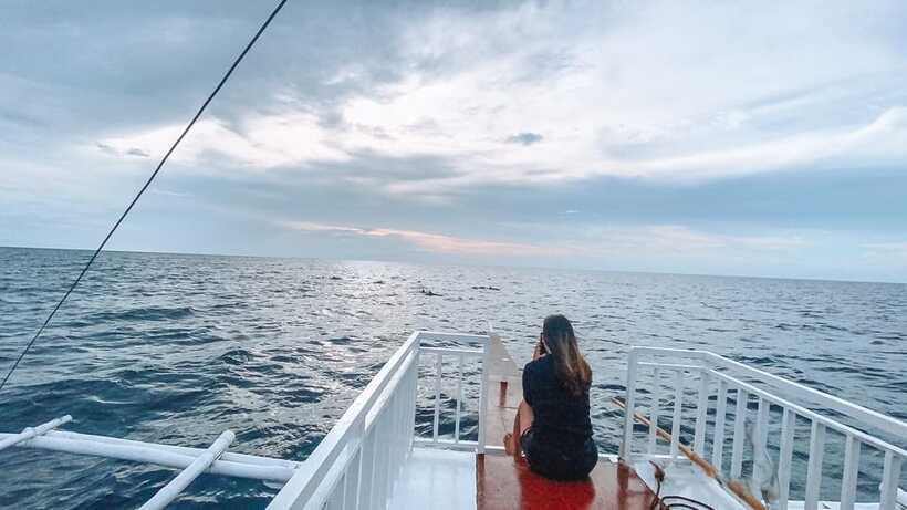 Bohol Balicasag Is Private Tour and Dolphin Watching - Paddle boats and time in the clear water