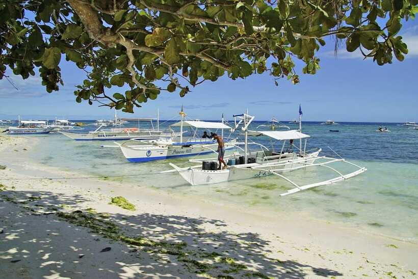 Bohol Balicasag Is Private Tour and Dolphin Watching - The guides and the feel of the day
