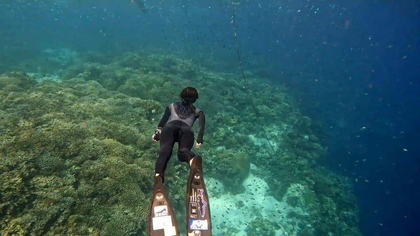 Bohol: Boat Tour to Sandbar and Snorkeling with Turtles - Why this six-hour boat trip works