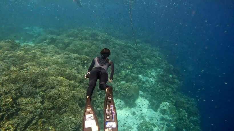 Bohol: Boat Tour to Sandbar and Snorkeling with Turtles - Weather, seasickness, and what to pack