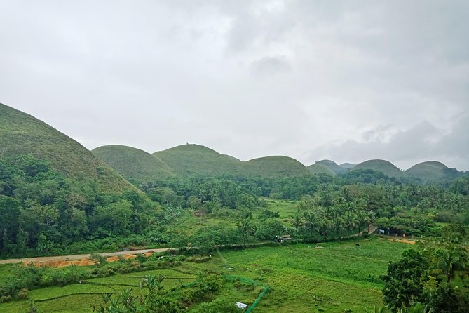 Bohol Chocolate hills and Waterfalls Ecotour - Guides, vehicles, and the private format