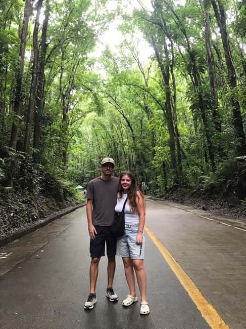 Bohol: Chocolate Hills, Loboc River, and Tarsier Tour - The Chocolate Hills viewpoint and its seasonal colors