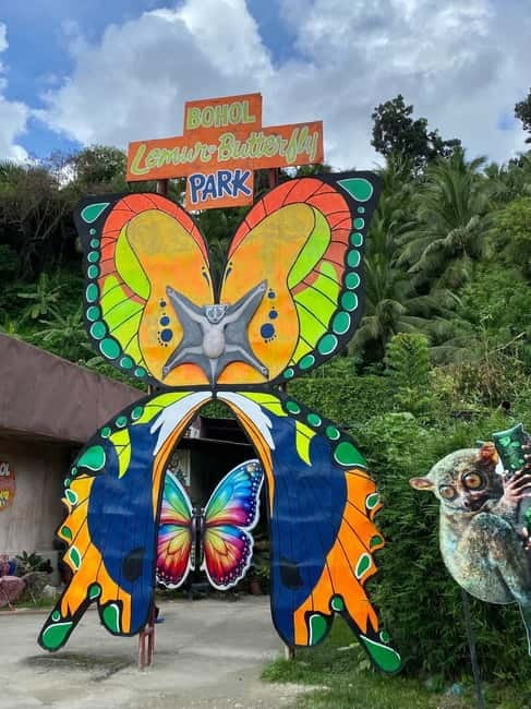 BOHOL: Chocolate Hills, Tarsiers and Loboc River Day Tour - Key points to know before booking