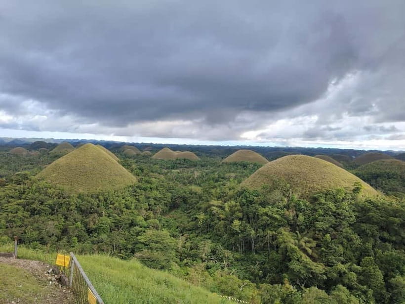 BOHOL: Chocolate Hills, Tarsiers and Loboc River Day Tour - Why this $38 Bohol tour offers good value