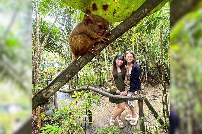Bohol Chocolate Hills, Tarsiers & Loboc River Private Tour - A private route from Panglao to Bohol’s best-known sights