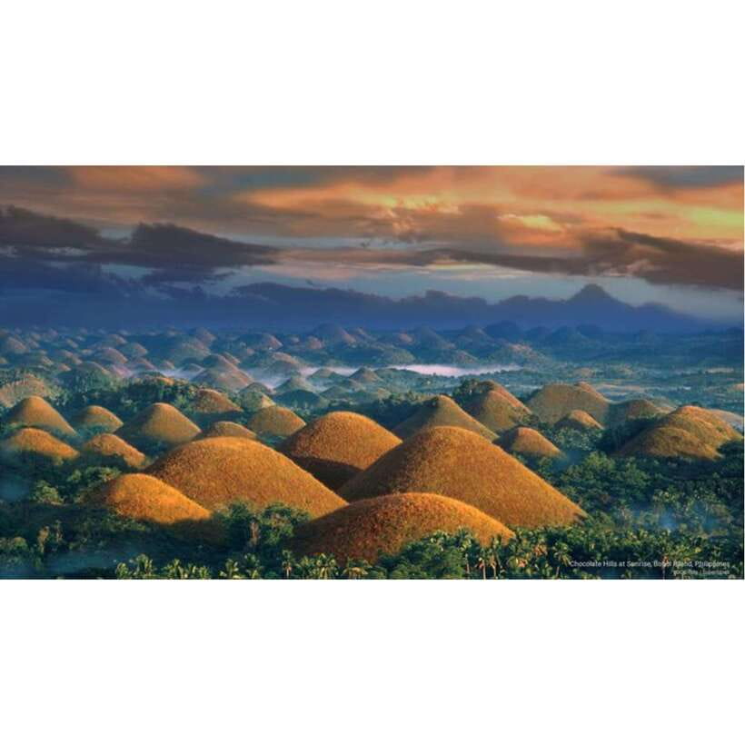Bohol: Chocolate Hills Tour - What the vehicle and guide add