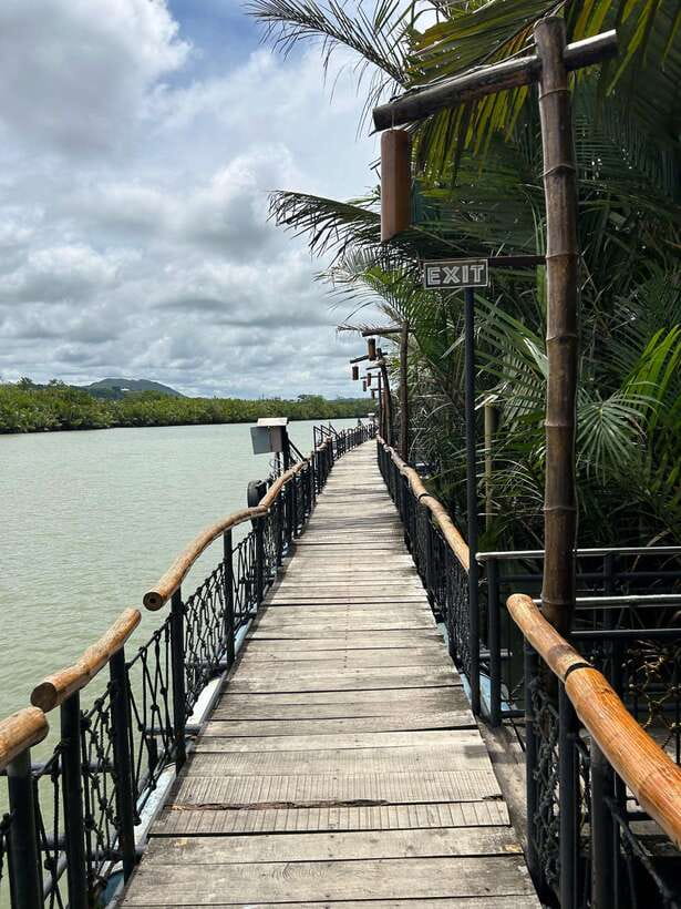 Bohol: Chocolate Hills Tour with Loboc River Cruise & Lunch - Key points to know before you book