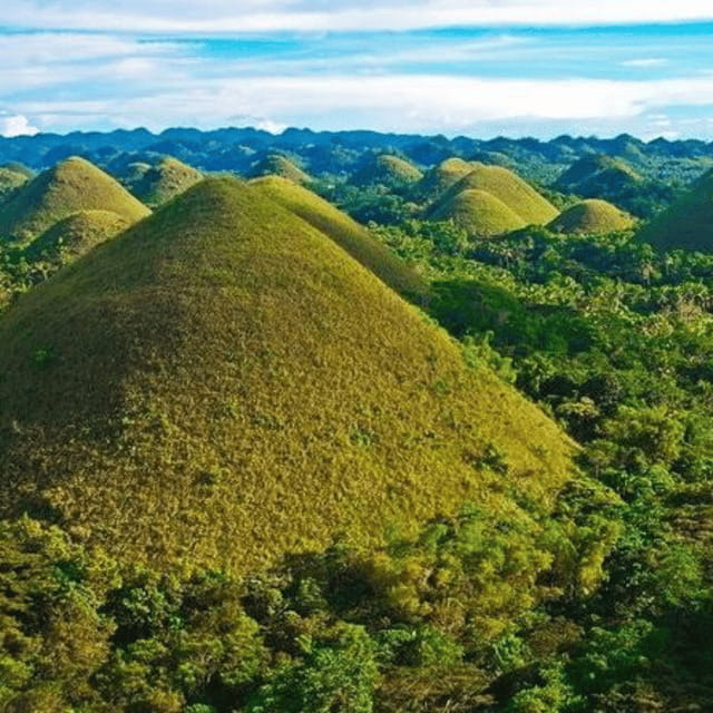 Bohol: Chocolate Hills Tour with Loboc River Cruise & Lunch - The Man-Made Forest and the long road inland