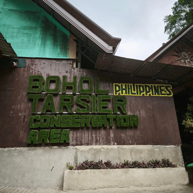 Bohol Chocolate Hills Tour with Loboc River Lunch Buffet - Baclayon Church and the island’s Spanish-era past