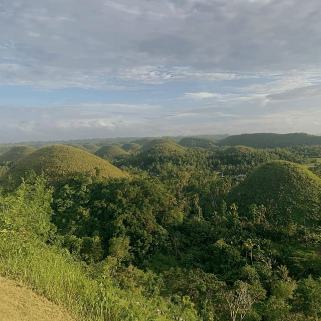 Bohol Chocolate Hills Tour with Loboc River Lunch Buffet - Chocolate Hills: Bohol’s major viewpoint