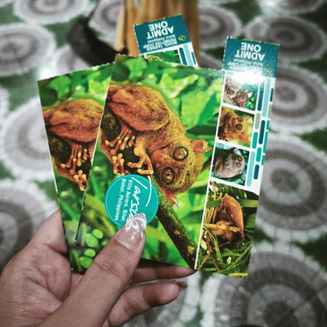 Bohol Chocolate Hills Tour with Loboc River Lunch Buffet - Shared transport and the practical realities