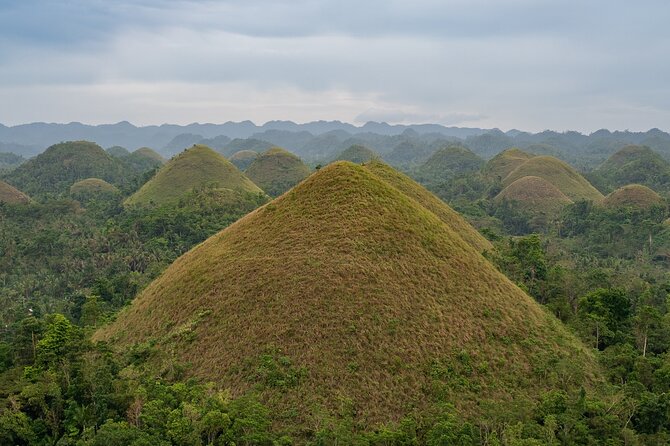 Bohol Chocolate Making and Farm Tour - What makes the private format useful