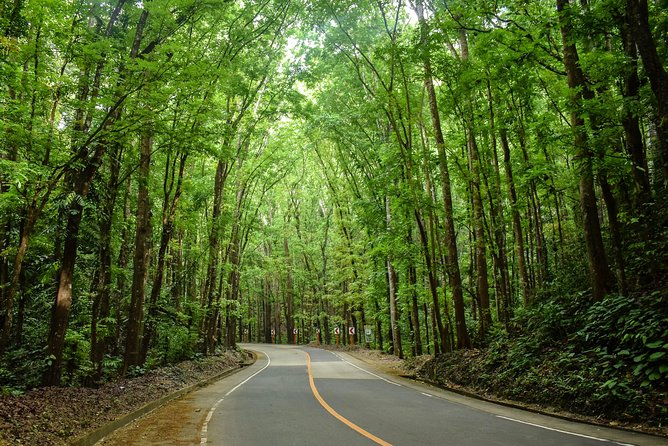 Bohol Countryside Day Tour from Cebu City or Mactan - Best Seller - Why this Cebu to Bohol day trip works