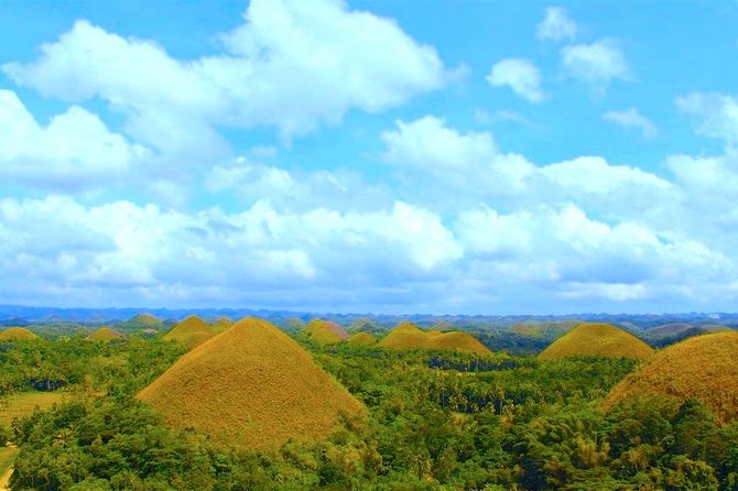 Bohol Countryside Day Tour from Cebu City or Mactan - Best Seller - Blood Compact Monument and Baclayon Church