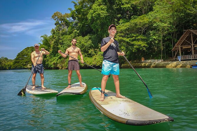 Bohol Countryside Tour: Chocolate Hills, Tarsier and Loboc River - Loboc River by paddleboard