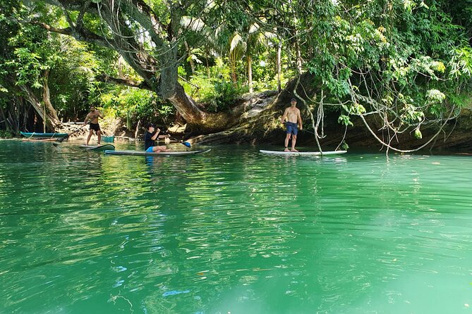 Bohol Countryside Tour: Chocolate Hills, Tarsier and Loboc River - What to expect from the long schedule