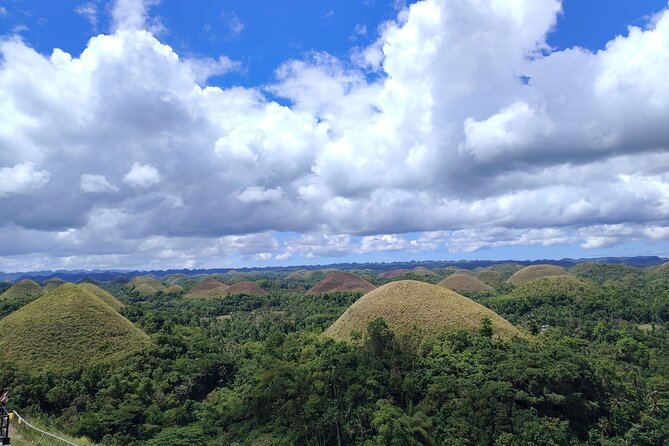 Bohol Countryside Tour to Chocolate Hills and Loboc River - Quick points before you book