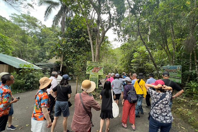 Bohol Day Tour with Round-Trip Transfers from Cebu - The 6:00 a.m. Start and Ferry Crossing