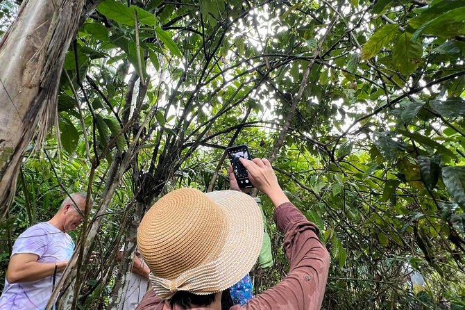 Bohol Day Tour with Round-Trip Transfers from Cebu - What the 15-Hour Schedule Feels Like