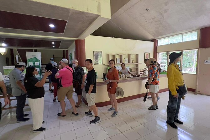 Bohol Day Tour with Round-Trip Transfers from Cebu - Chocolate Hills: Bohol’s Big View