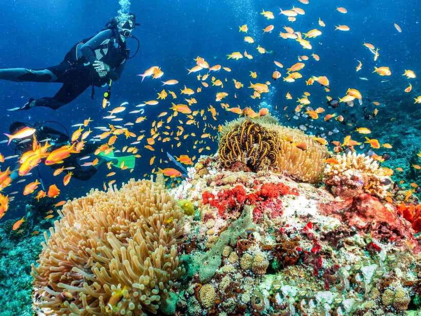 Bohol: Discover Scuba Diving - No Experience Needed - A Gentle First Step Into Panglao’s Underwater World