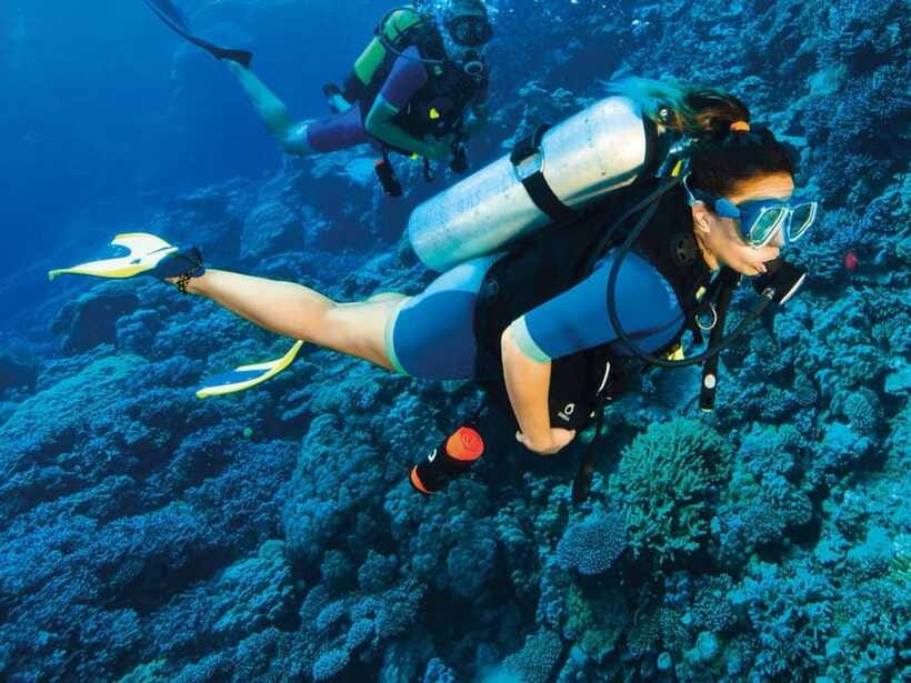 Bohol: Discover Scuba Diving - No Experience Needed - Equipment, Boat Ride, and What the Price Covers
