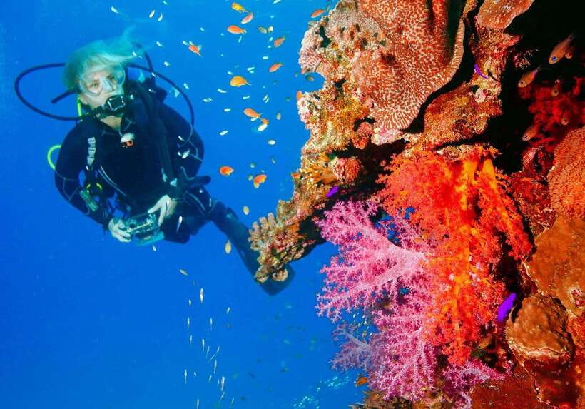 Bohol: Discover Scuba Diving - No Experience Needed - The First Hour: Theory Without the Heavy Textbook