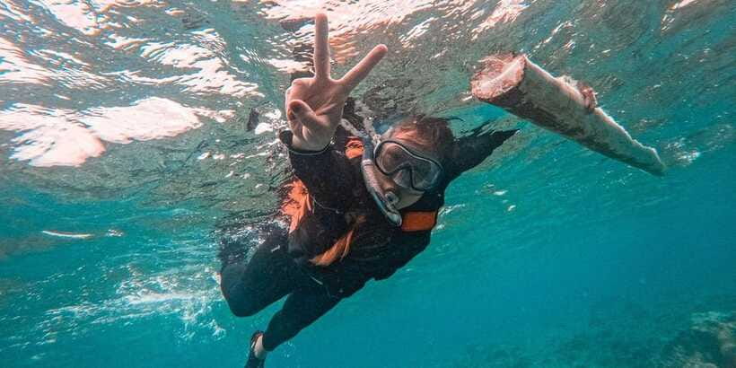 Bohol Dolphin Watching, Balicasag, and Virgin Island Tour - Balicasag Island and the marine sanctuary