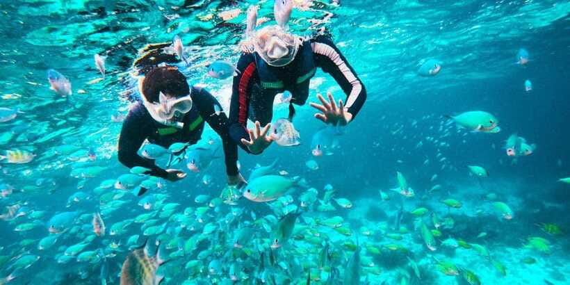 Bohol Dolphin Watching, Balicasag, and Virgin Island Tour - Is $51 a fair price?