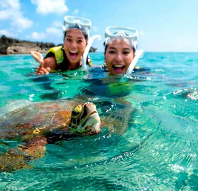 Bohol: Dolphin Watching & Sea Turtle Swim Island Tour - Coral, tropical fish, and shallow water