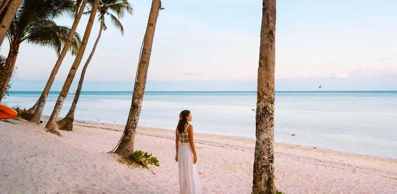 Bohol: Dolphin Watching & Sea Turtle Swim Island Tour - What to pack for the morning