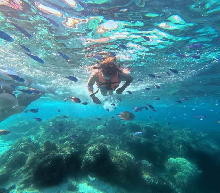 BOHOL: Dolphin Watching, Turtle Swim and Party Boat - Key points to know before booking