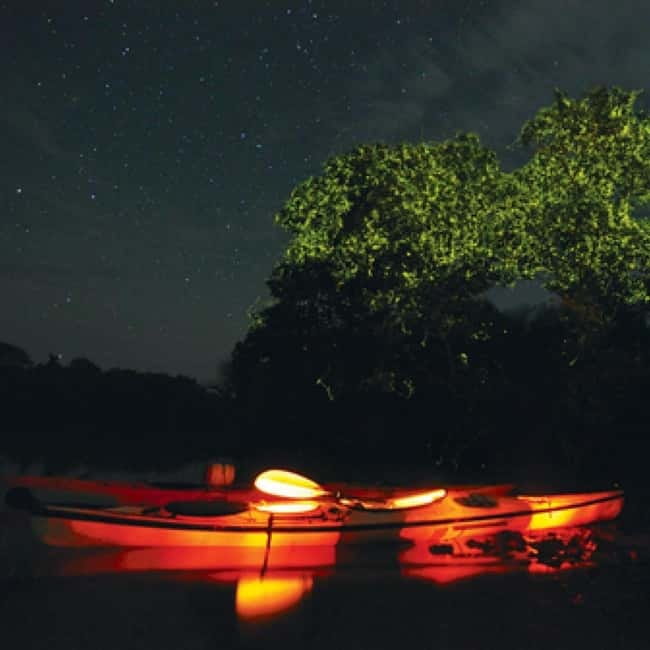 Bohol: Firefly Watching Shared Tour - Leaving Panglao by air-conditioned van