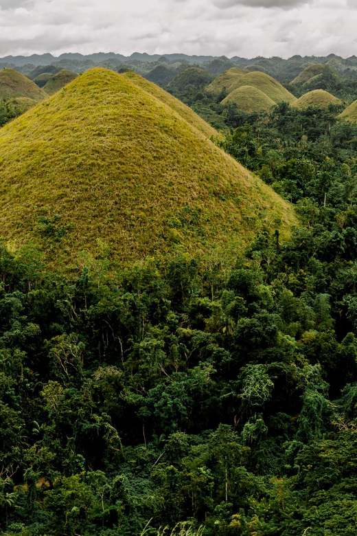 Bohol: Full Day Countryside Tour w Loboc River Lunch - Meeting Bohol’s tiny tarsiers in Corella