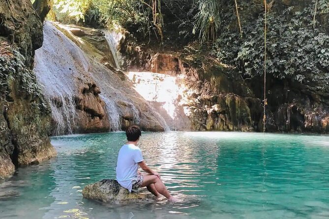 Bohol Full Day Waterfall & Countryside Scooter Tour - The Bilar Man-Made Forest brings a cool change