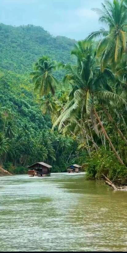 Bohol: Guided Chocolate Hills & Tarsiers Tour - The Loboc River cruise and buffet lunch