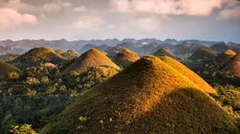 Bohol: Guided Chocolate Hills & Tarsiers Tour - What the $37 price really covers