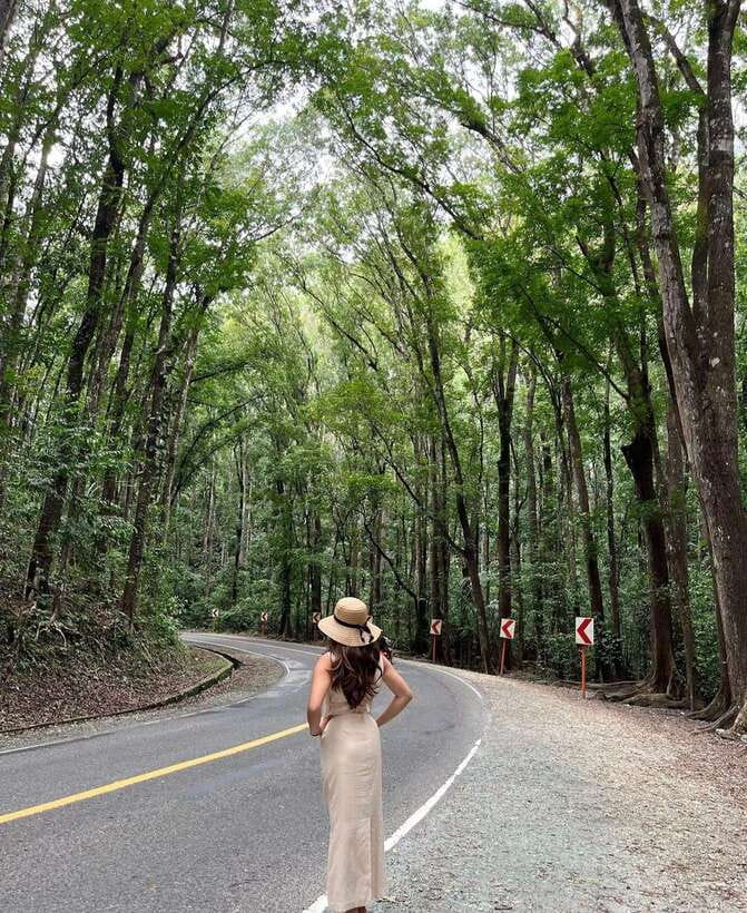Bohol: Guided Chocolate Hills & Tarsiers Tour - Pickup from Panglao, Tagbilaran, or Loay