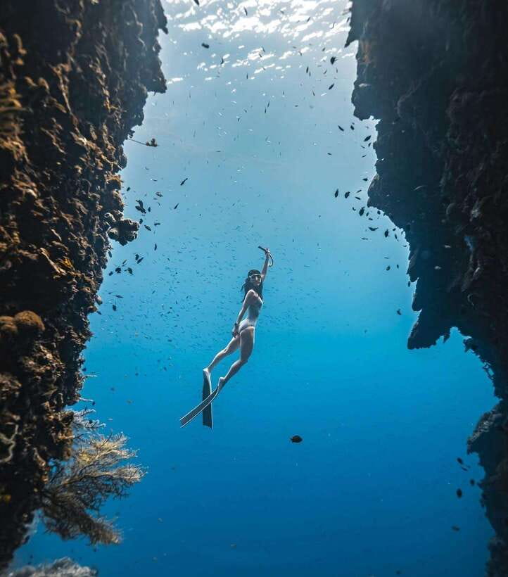 Bohol: Guided Sardine Reef Snorkeling Experience - What the Four-Hour Schedule Actually Means