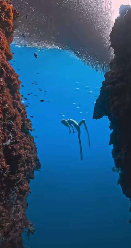 Bohol: Guided Sardine Reef Snorkeling Experience - The Safety Briefing and Equipment Check